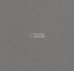 Линолеум Forbo SafeStep Aqua 180092 elephant фото 1 | FLOORDEALER